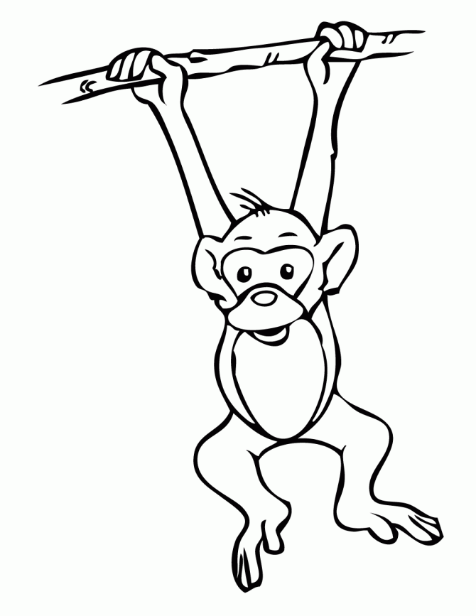 Monkey Coloring Pages - Free Printable Pictures Coloring Pages For 