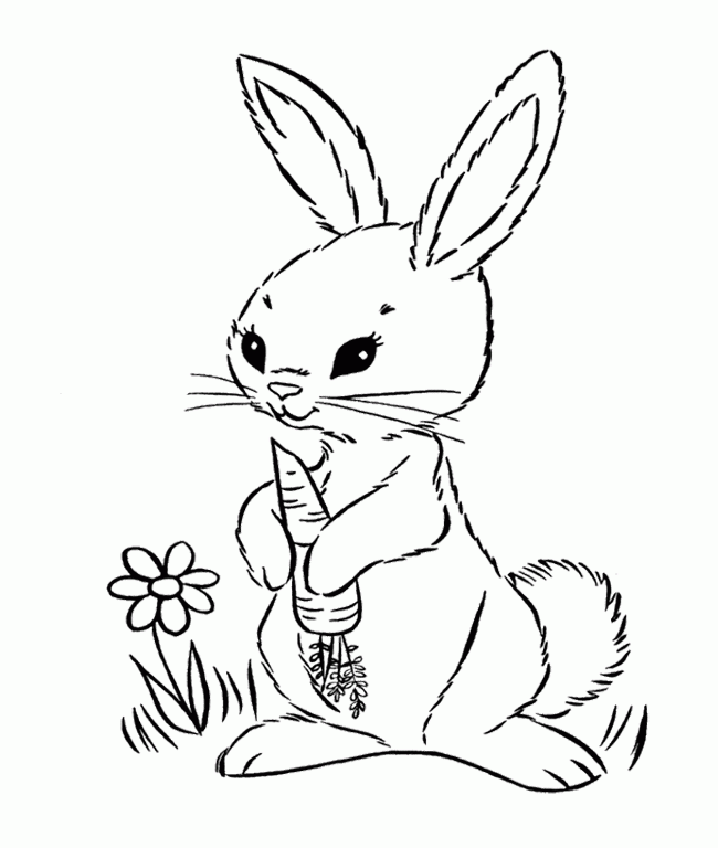 Printable Bunny Holding A Carrot Coloring Page For Kids - Fruit 