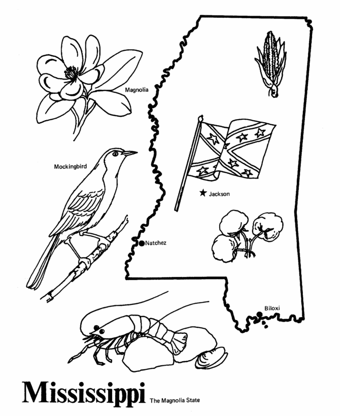 Mississippi State outline Coloring Page | 4th grade Social Studies | …