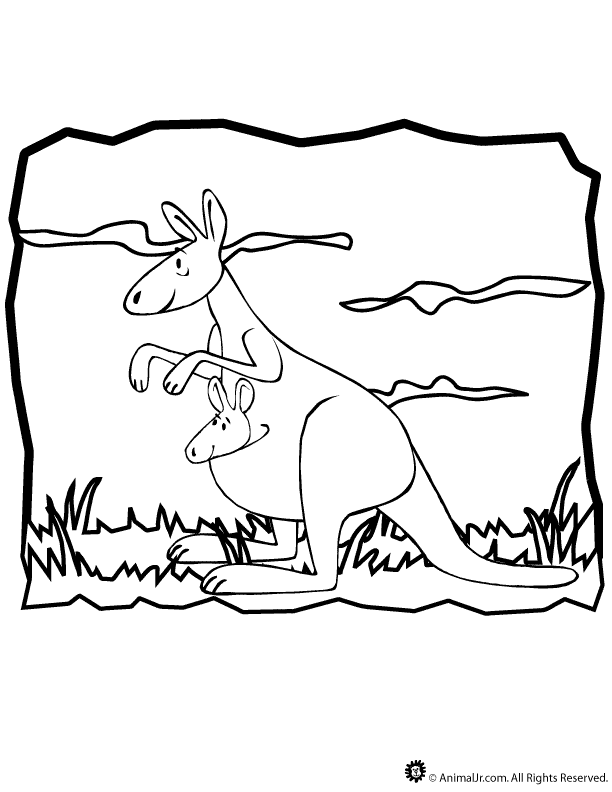 Cartoon Kangaroo Coloring Pages