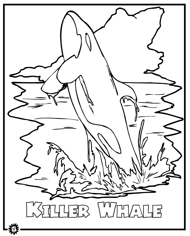 Killer Whale Coloring Page Barbie My Oc Killer Whale