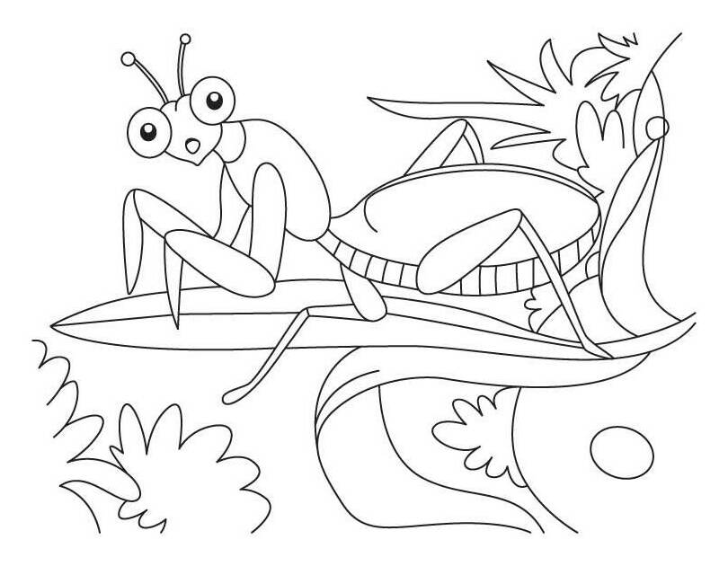 Mantis Colouring Pages (page 2)