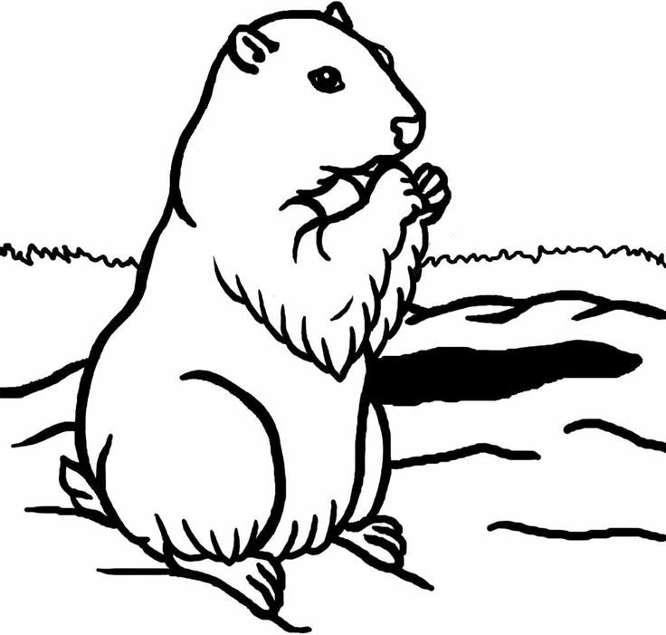Groundhog Coloring Pages Is Part Of Groundhog Day Coloring Pages 