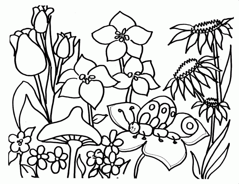 Wildflower Coloring Pages - Coloring Home