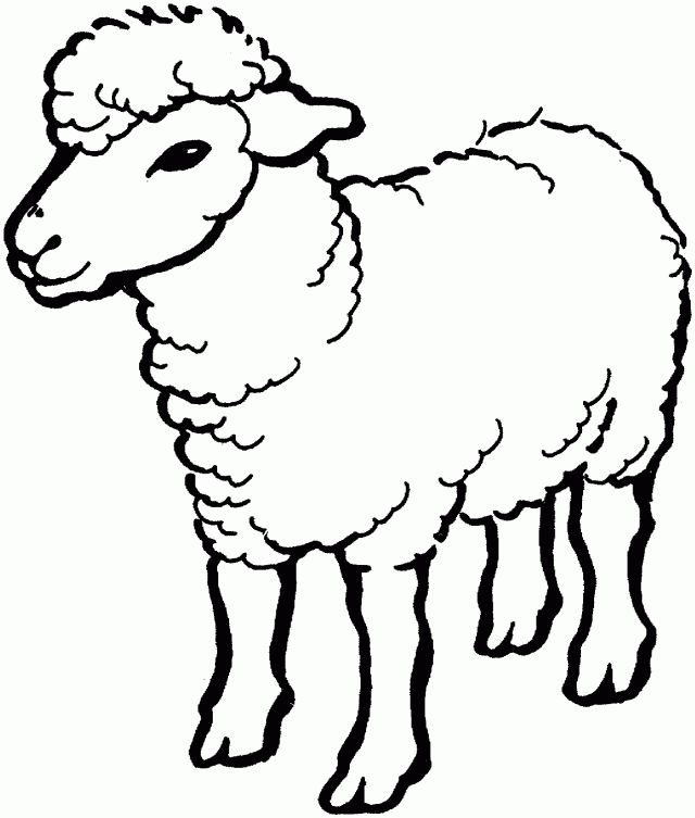 Sheep Coloring Page Coloring Pages For Adults Coloring Pages For 