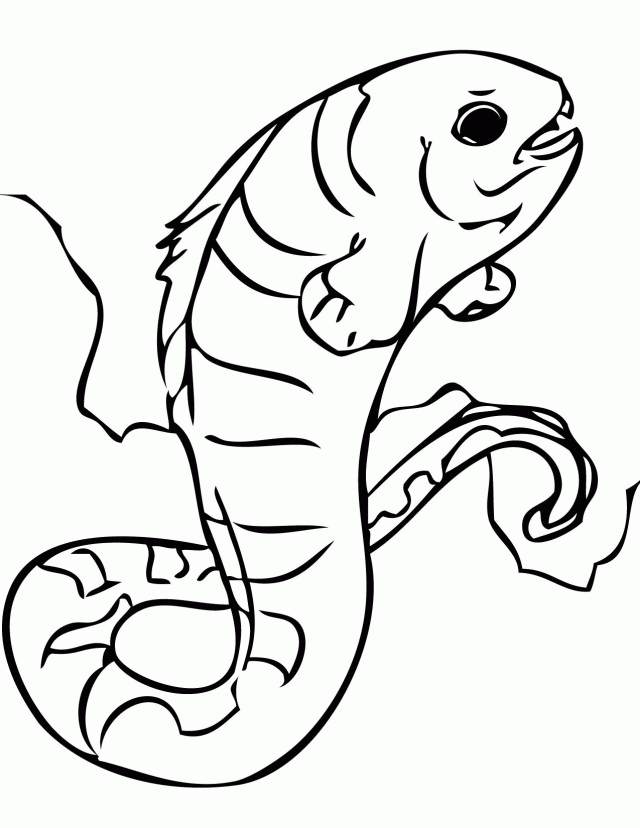 Eel Coloring Pages Coloring Home