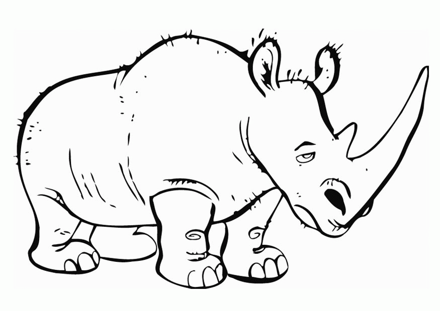 rino Colouring Pages (page 3)