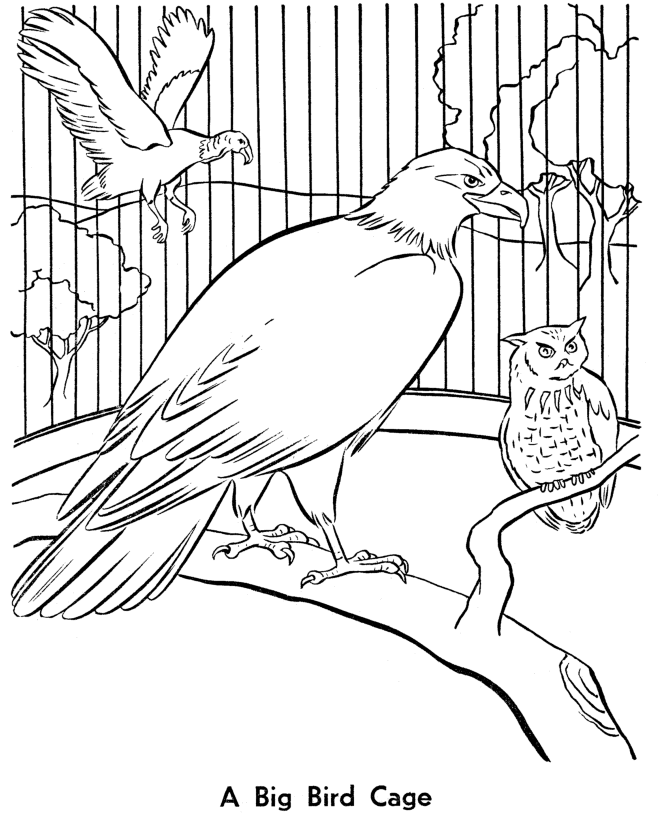 Zoo Birds Coloring Pages | Zoo Aviary bird cage Coloring Page and 