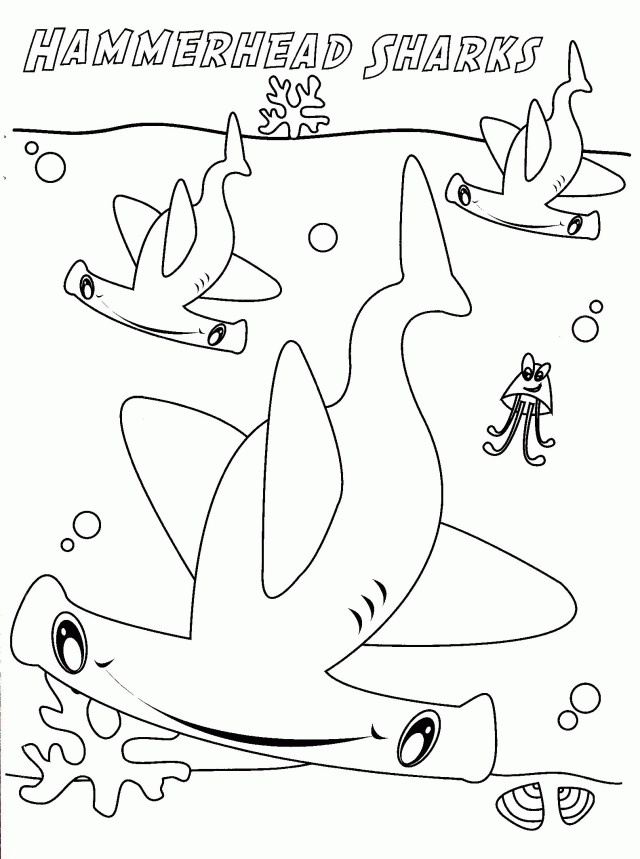 Hammerhead Shark Coloring Pages Coloring Book Area Best Source 