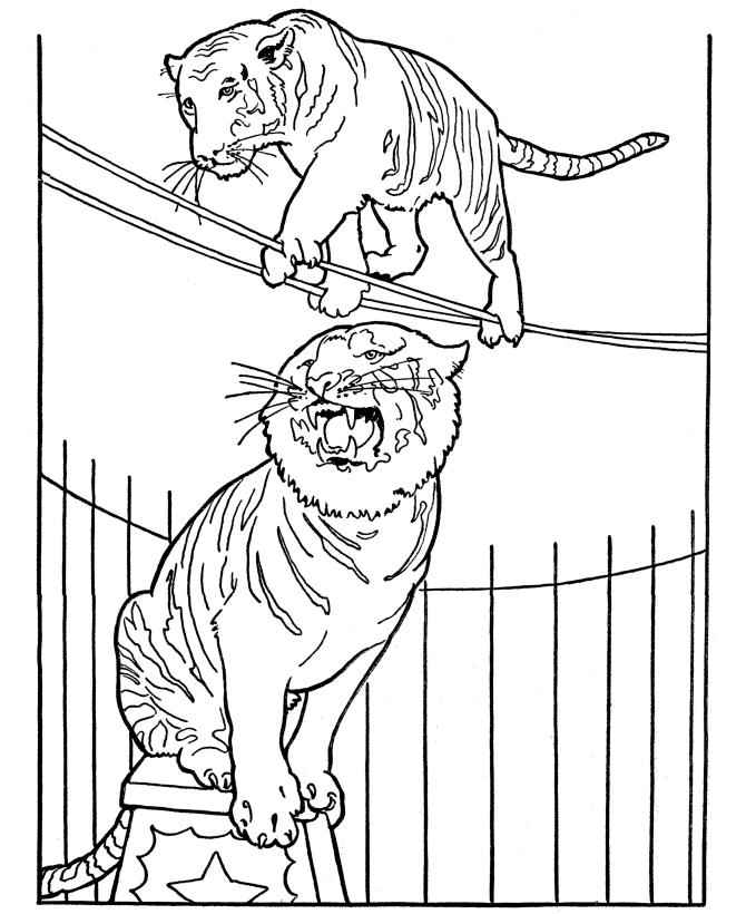 Circus Animal Coloring Pages | Printable performing circus Tiger 