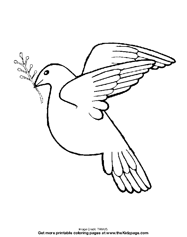 Dove - Free Coloring Pages for Kids - Printable Colouring Sheets