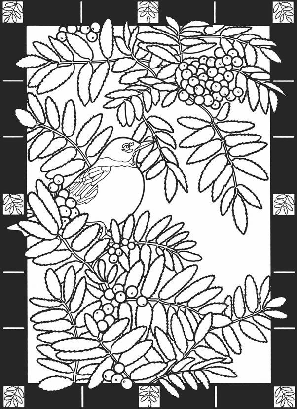 from leaves of the seasons stained glass coloring for grown ups 
