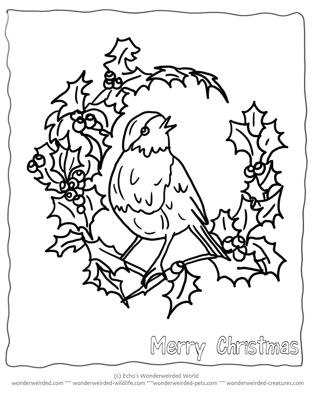 Coloring Pages Of A Bird/page/2 | Pictxeer
