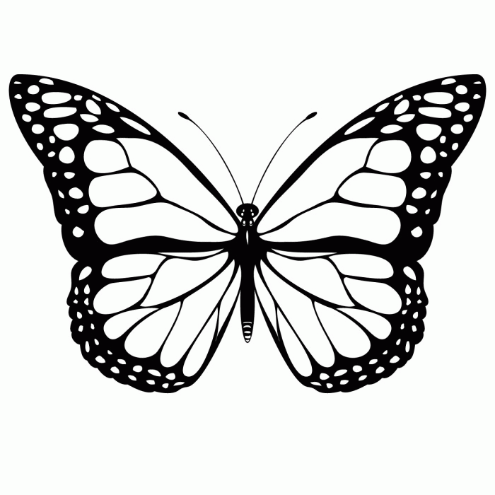 Painted Lady Butterfly Coloring Pages
