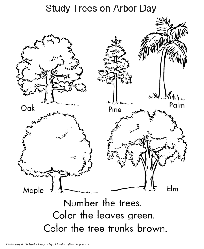 Arbor Day Coloring Pages - Tree Identification Coloring Pages 