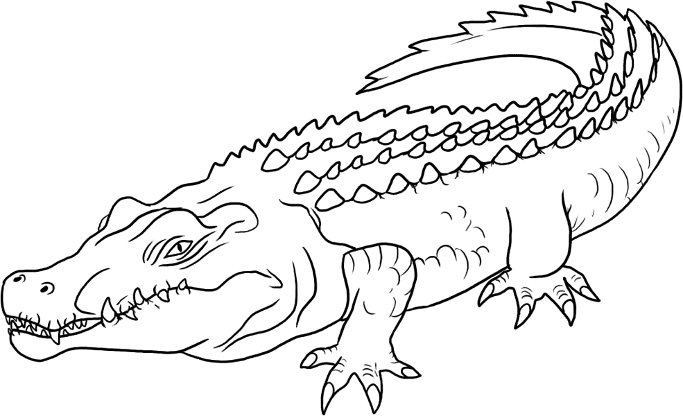 Crocodile coloring page - Animals Town - Animal color sheets ...
