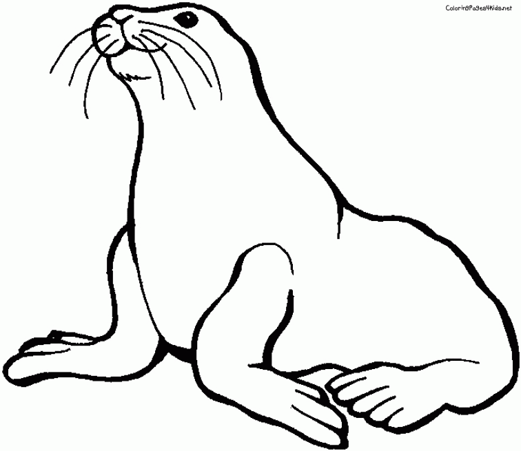 Free Coloring Pages Elephant Seal - Coloring Home