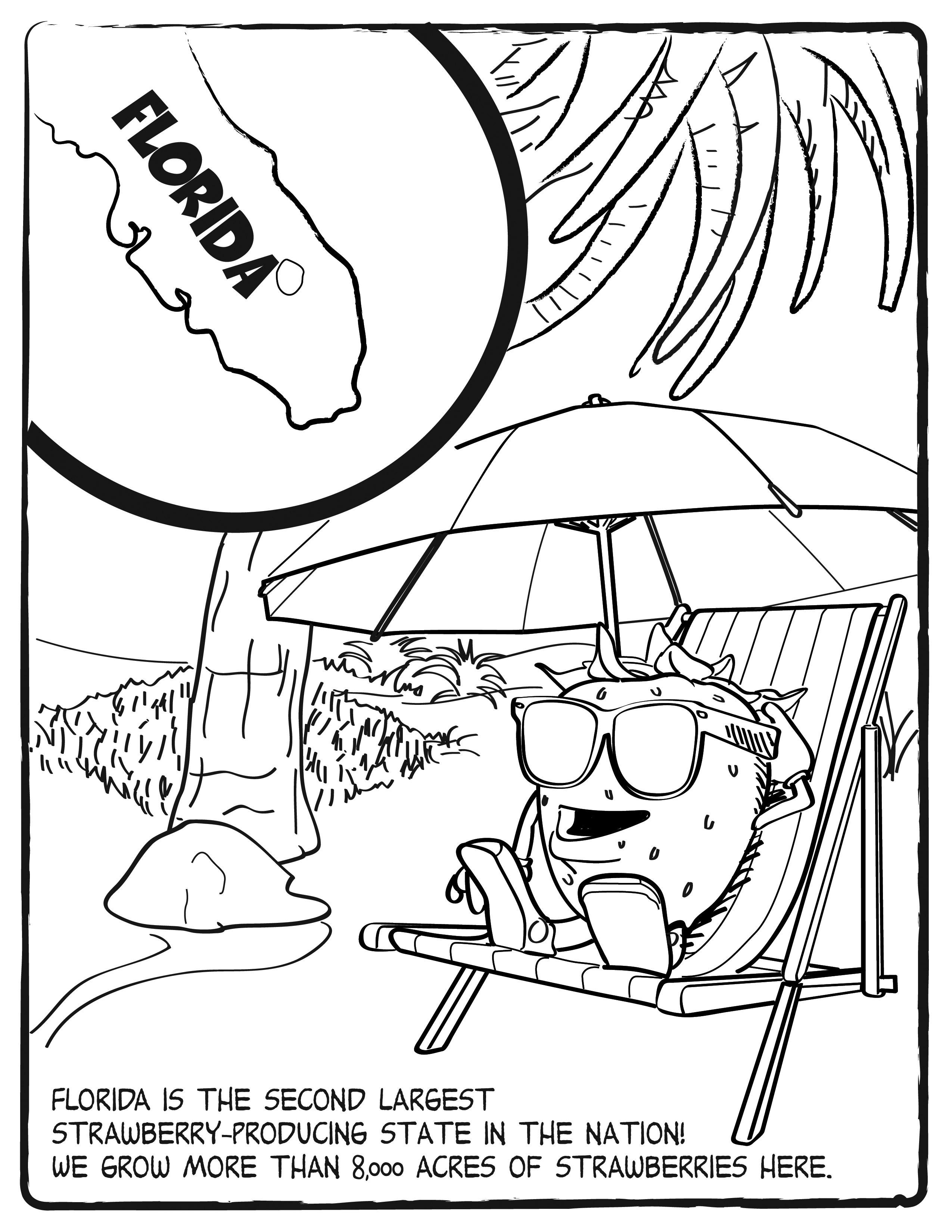 Florida Coloring Pages - Coloring Home