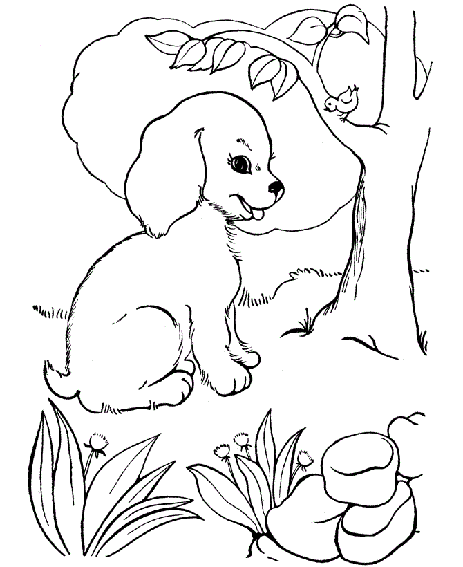 a Puppy and a Bird Coloring Page | Animal pages of ...