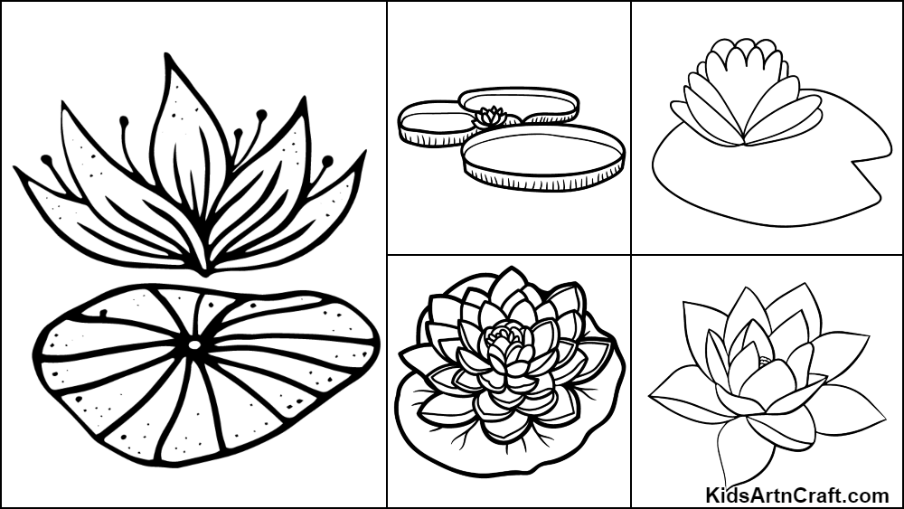 Water Lily Coloring Pages For Kids – Free Printables - Kids Art & Craft