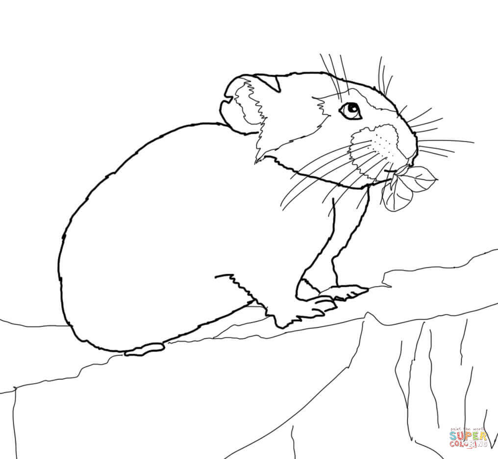Pika coloring page | Free Printable Coloring Pages