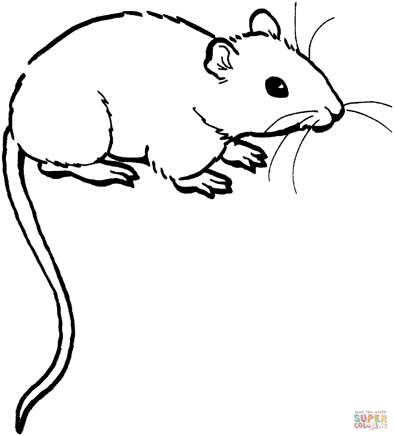mice-coloring-pages-coloring-home