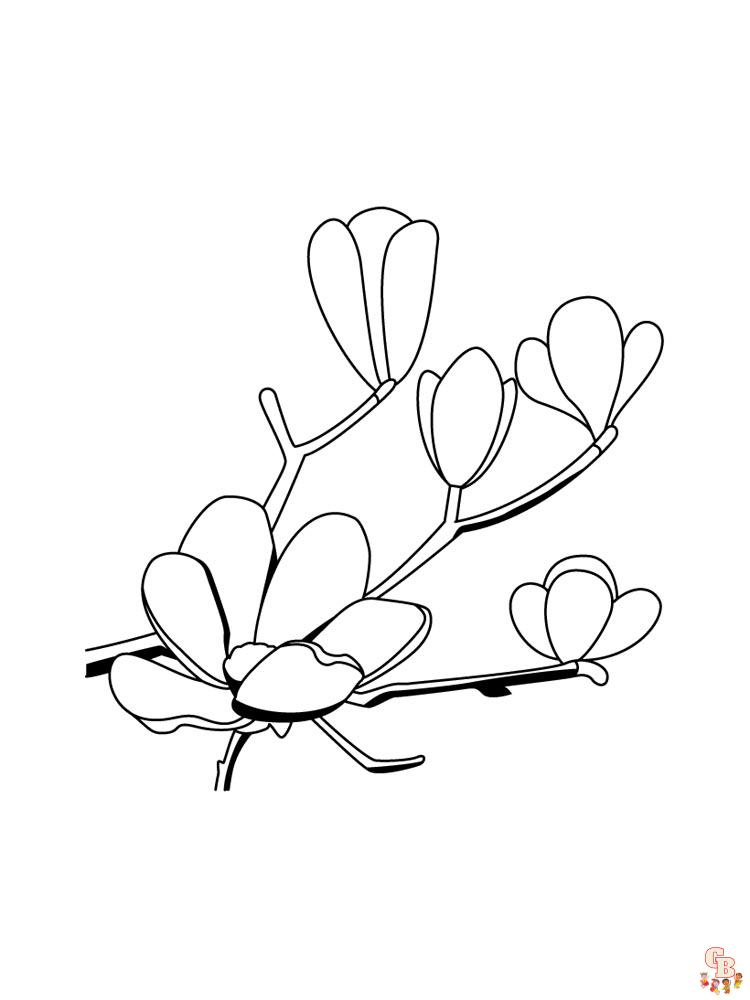 Magnolia Coloring Pages - Printable, Free & Easy - GBcoloring