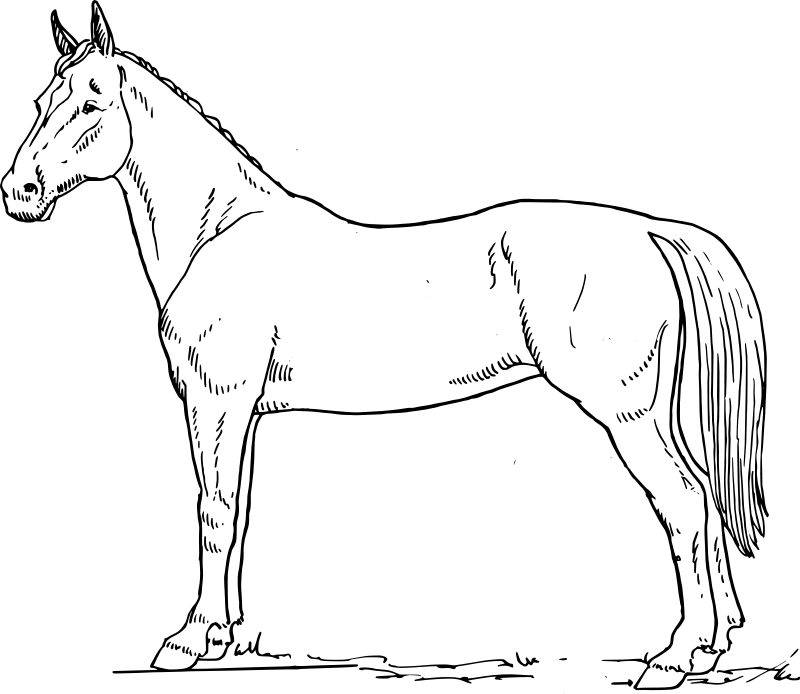 Coloring Pages Of Horses : Horse Alphabet Coloring Pages Printable ...