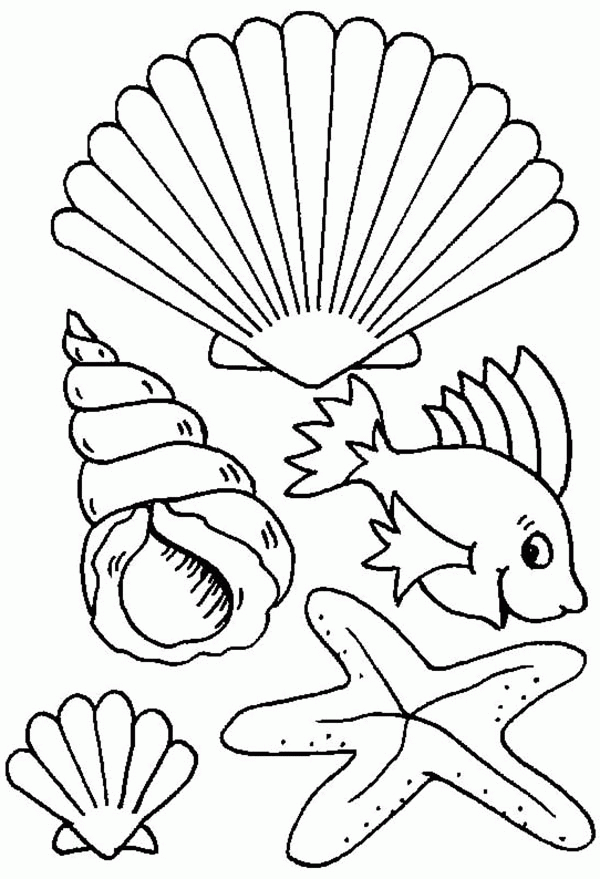 Seashells Coloring Page - Coloring Home