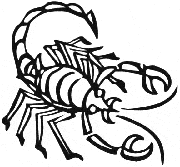 Scorpion coloring page - Animals Town - animals color sheet - Scorpion free  printable coloring pages animals