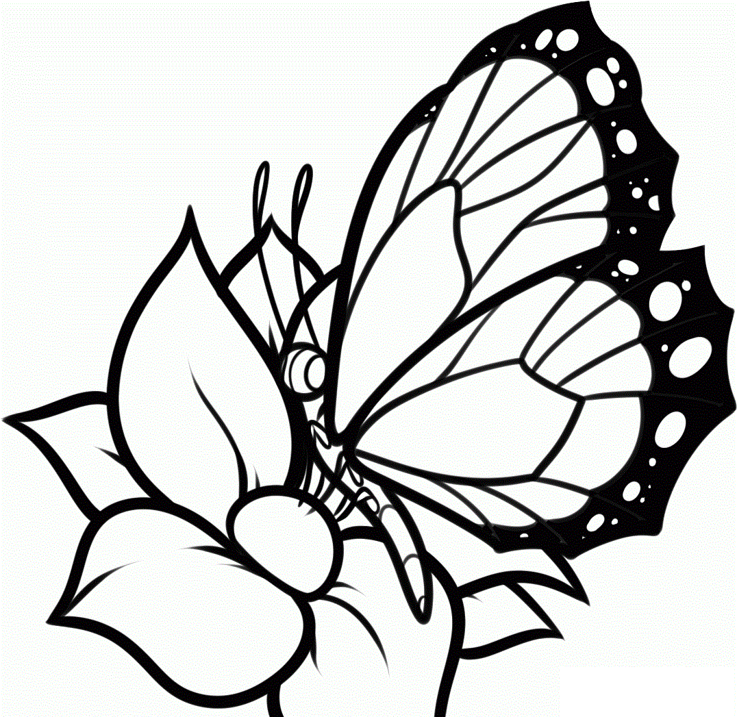 Free Free Printable Coloring Pages Of Flowers For Kids, Download Free Clip  Art, Free Clip Art on Clipart Library
