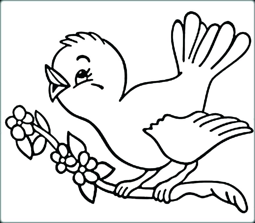 Birds Coloring Pages Picture - Whitesbelfast