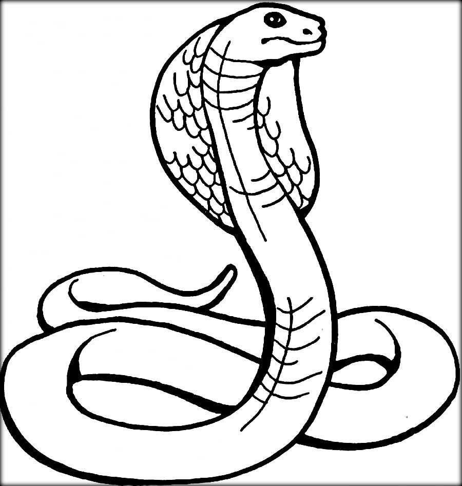 cobra snake coloring pages for kids | Snake coloring pages, Coloring pages,  Flag coloring pages