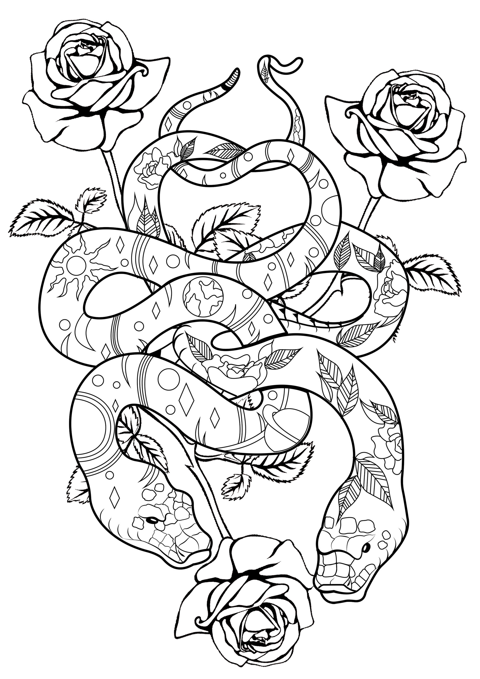 Cool Snakes Coloring Pages   Coloring Home