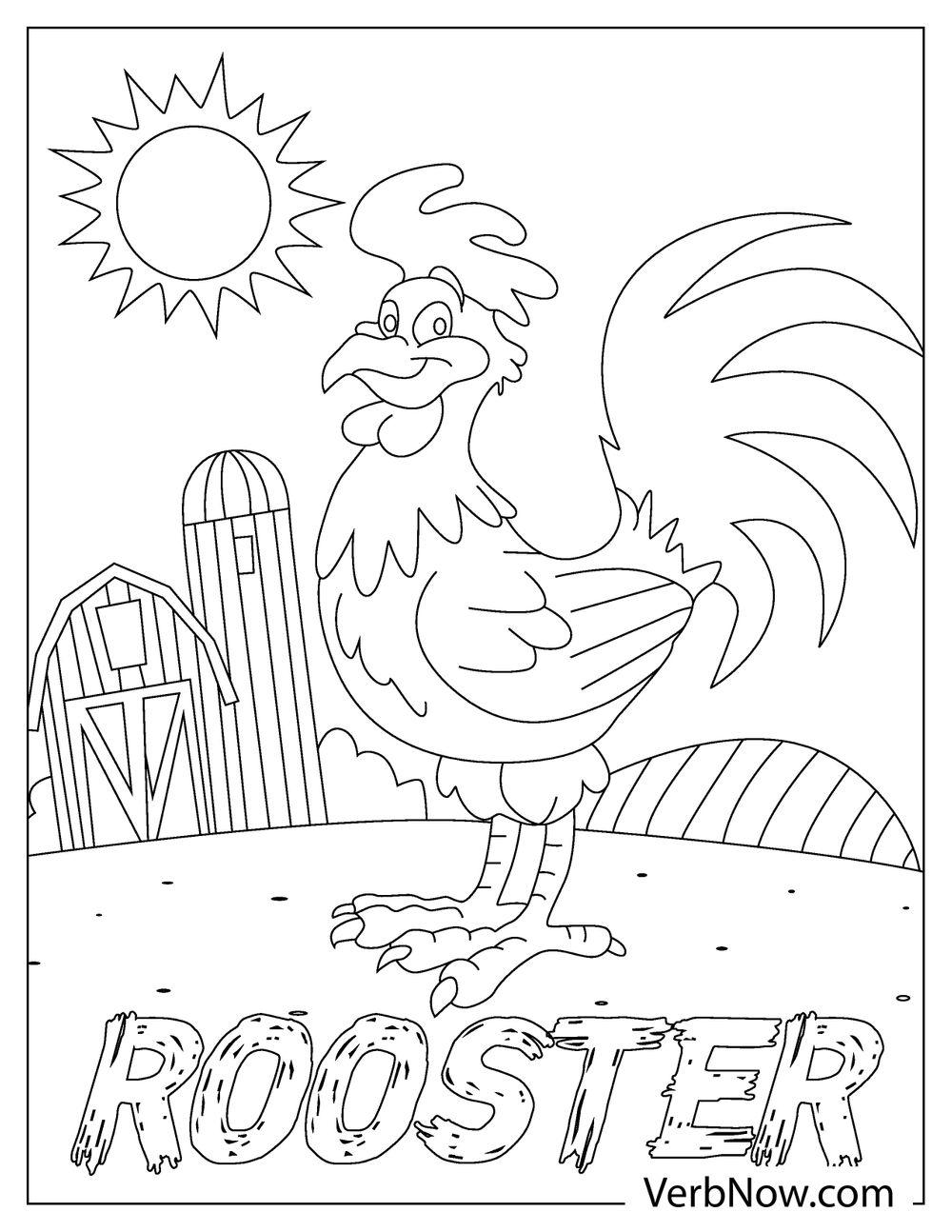 Free ROOSTER Coloring Pages & Book for Download (Printable PDF) - VerbNow