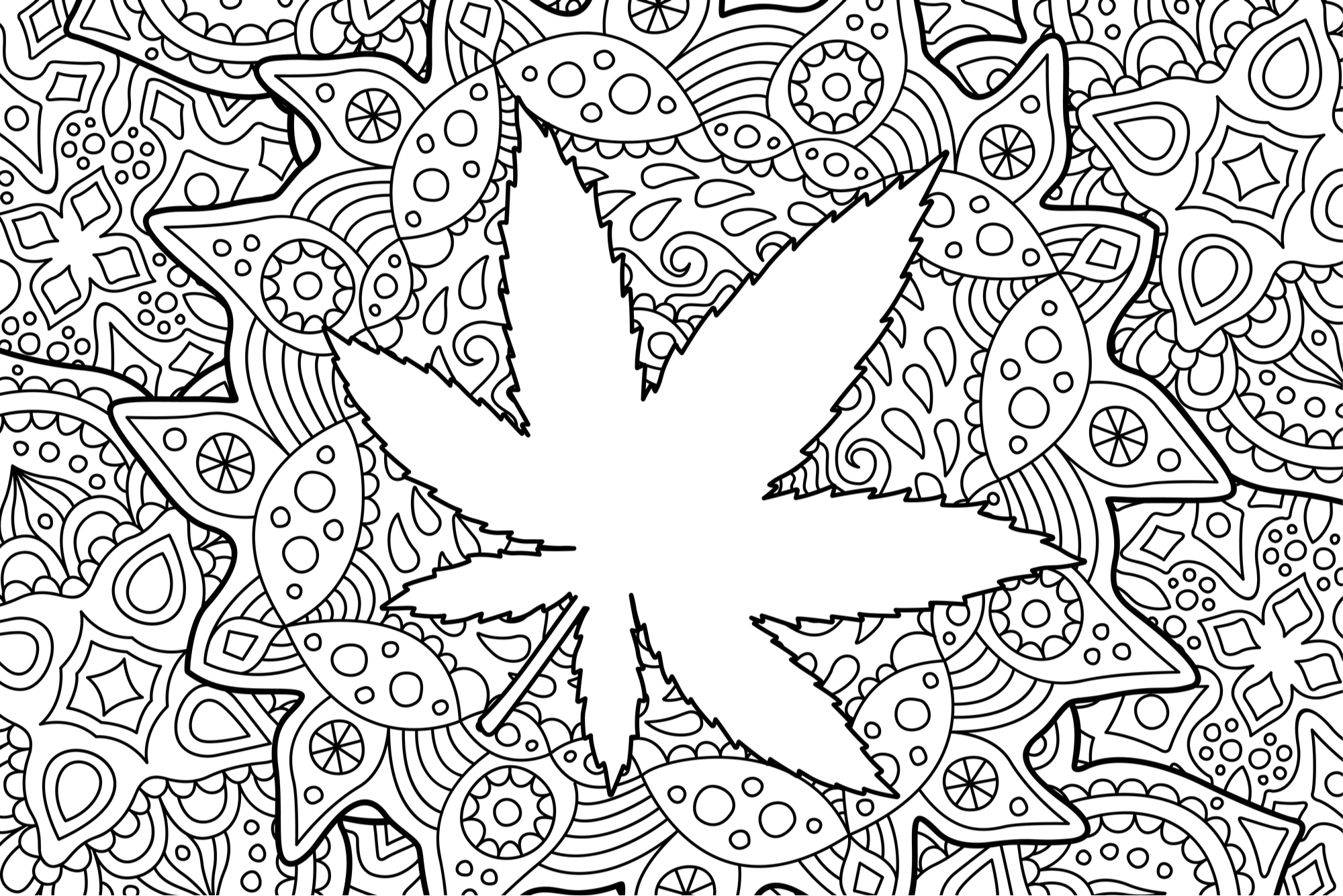 Top 5 Cannabis Coloring Books for the Artistic Stoner | Leafbuyer