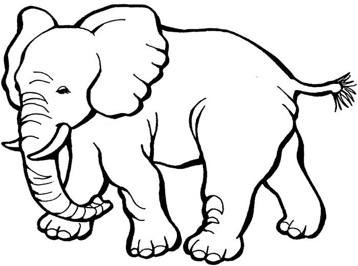 Printable Elephant Coloring Pages | Coloring Me