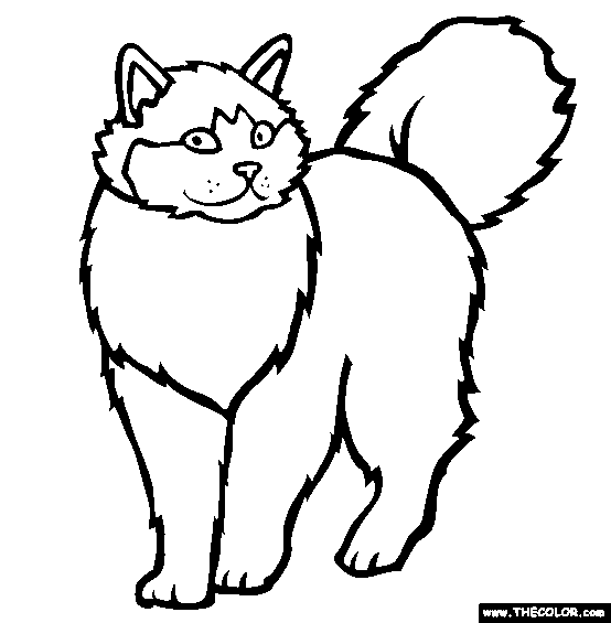 Cats Online Coloring Pages | Page 1