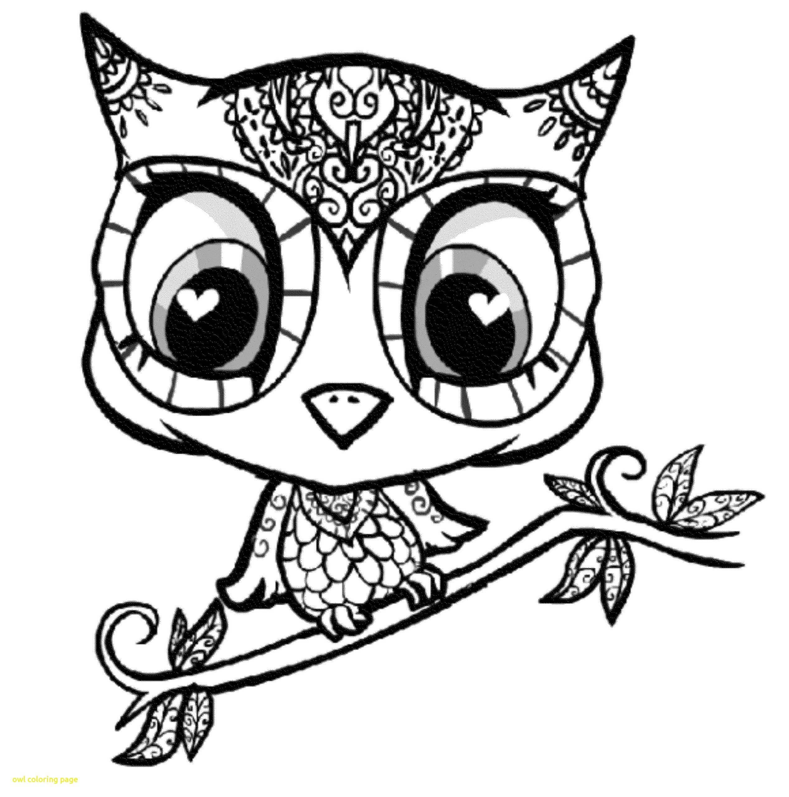 41 Most Splendid Cute Owl Coloring Pages Page With For Girls ...