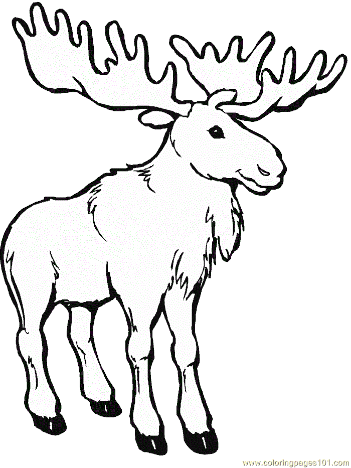 moose wintermEh 101 Colouring Pages