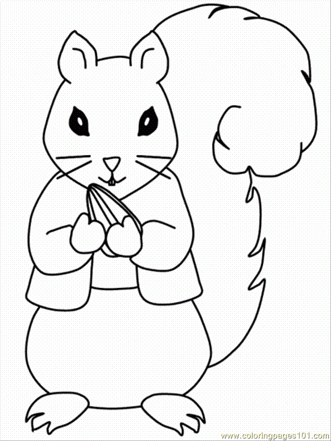 squirrel squirrel Colouring Pages (page 3)