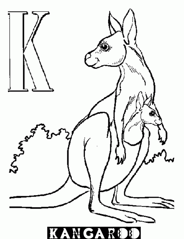 Animal Alphabet K Kangaroo :Kids Coloring Pages | Printable 