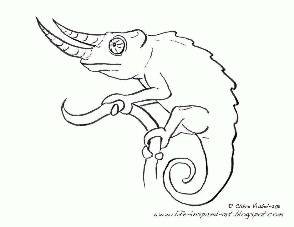 Chameleon Coloring Page Coloring Pages 266125 Chameleon Coloring Pages
