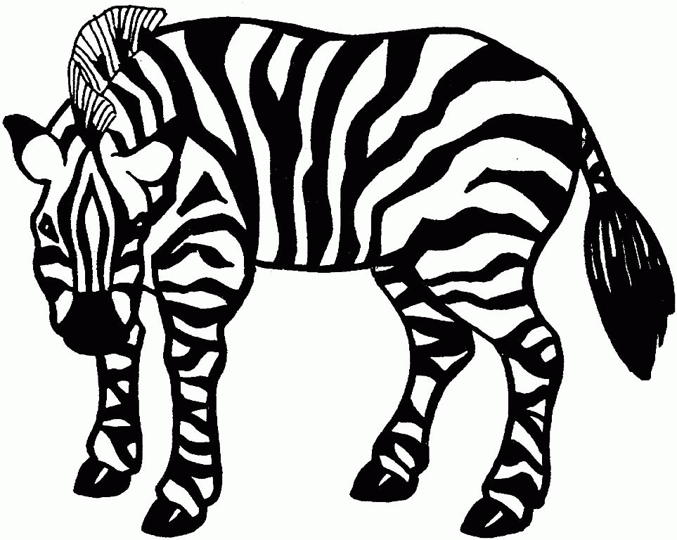 Color Zebra - Coloring Home