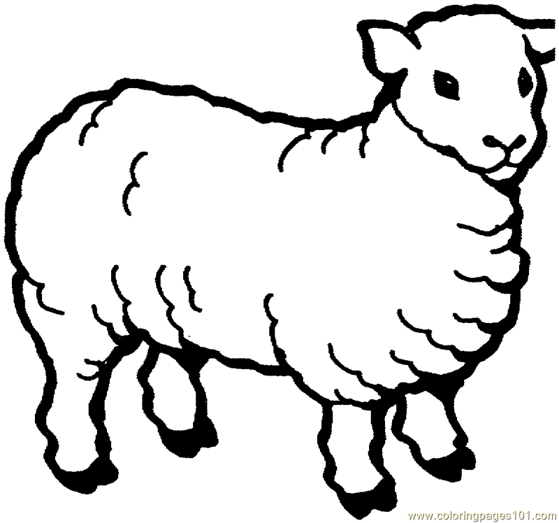 Coloring Pages Sheep (Mammals > Sheeps) - free printable coloring 