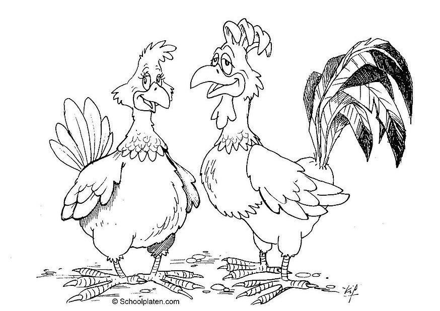 Coloring page hen and rooster - img 16869.