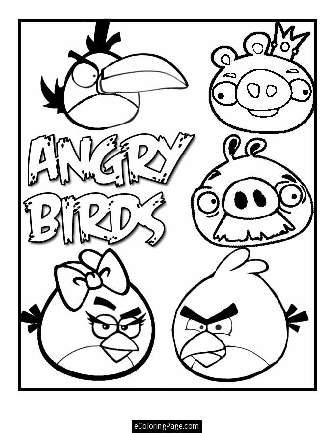 bird pig all Colouring Pages