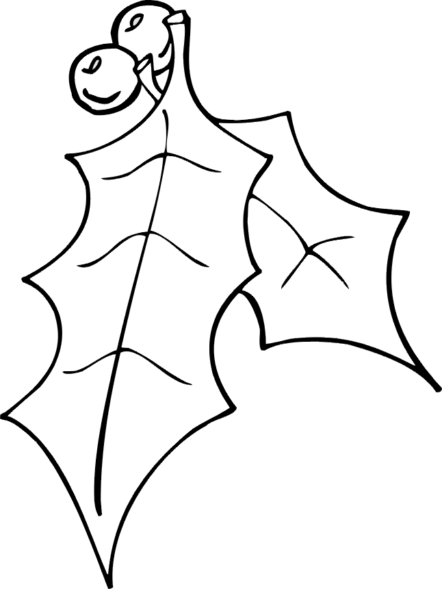Christmas Holly Coloring Page