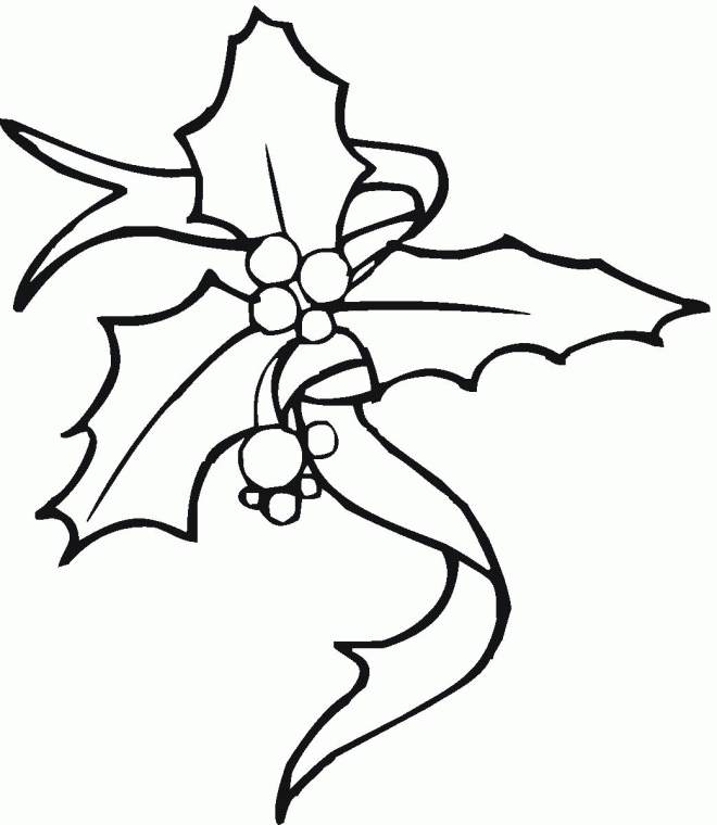 christmas holly Colouring Pages