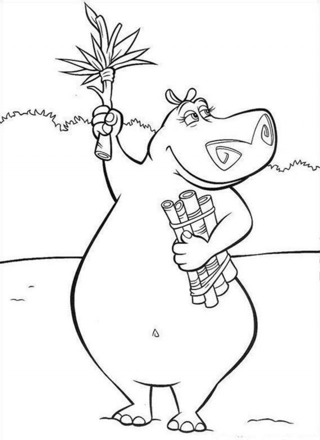 Madagascar Female Hippo Coloring Page Coloringplus 141080 Hippo 